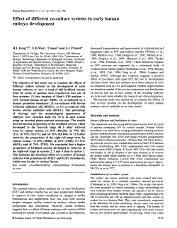 Effect of different co-culture systems in early human embryo