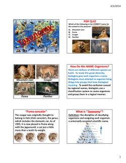 POP QUIZ How Do We NAME Organisms? “Puma “Puma concolor