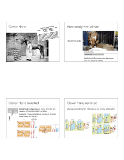 Clever Hans Hans really was clever Clever Hans