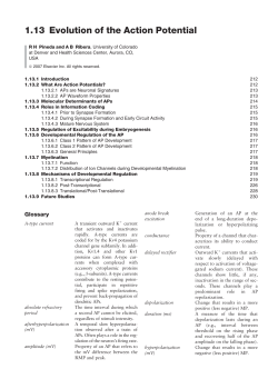 Evolution of the Action Potential (PDF Available)