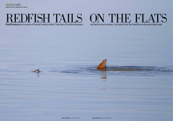 Paul Procter Pictures