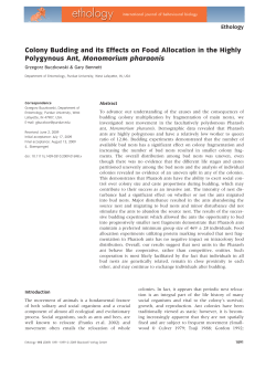 Colony Budding and its Effects on Food Allocation in the Highly