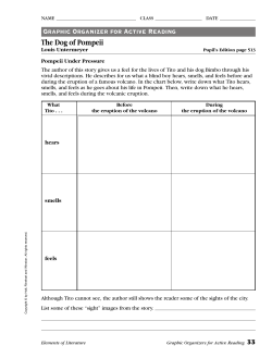 The Dog of Pompeii Graphic Organizer for Active