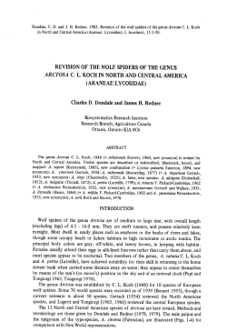 REVISION OF THE WOLF SPIDERS OF THE GENUS ARCTOSA C