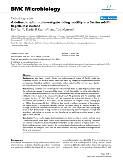 A defined medium to investigate sliding motility in aBacillus