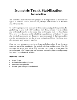 Isometric Trunk Stabilization