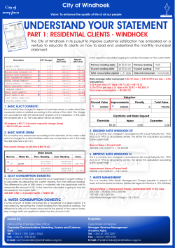 City of Windhoek: Understand your statement