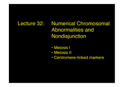 Numerical Chromosomal Abnormalities and Nondisjunction Lecture