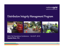 Distribution Integrity Management Program