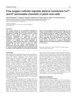 Free oxygen radicals regulate plasma membrane Ca2+