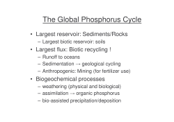 The Global Phosphorus Cycle
