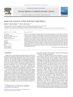 Small-scale structure in fluid cholesterol&ndash;lipid bilayers