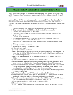 RNA and miRNA Isolation from Human Peripheral Blood