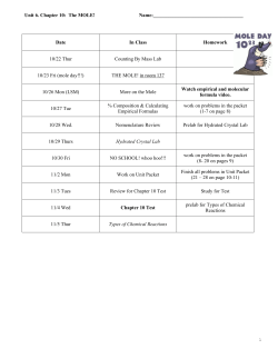 Unit 6. Chapter 10: The MOLE!