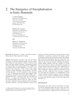 2. The Energetics of Encephalization in Early Hominids