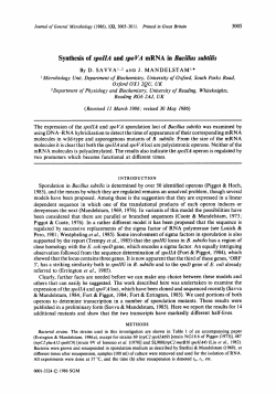 Synthesis of spoIIA and spoVA mRNA in Bacillus