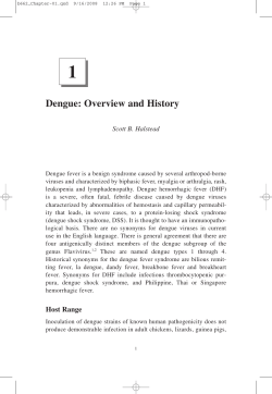 Dengue (506 Pages)