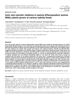 Ionic and osmotic relations in quinoa (Chenopodium quinoa Willd
