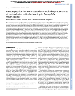 A neuropeptide hormone cascade controls the
