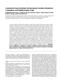 Conductive Airway Surfactant: Surface