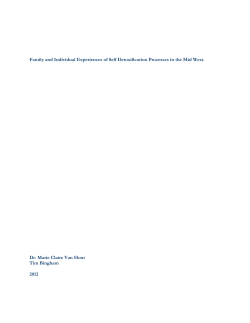 Family and Individual Experiences of Self Detoxification Processes