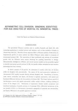 Asymmetric Cell Division: Binomial Identities for Age Analysis of