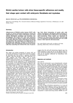 Ehrlich ascites tumour cells show tissue