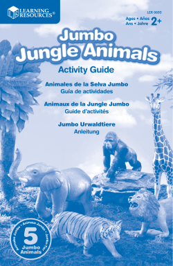 Jumbo Jungle Animals