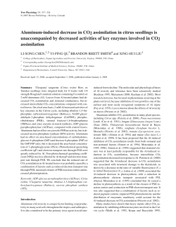 Aluminum-induced decrease in CO2 assimilation in citrus seedlings