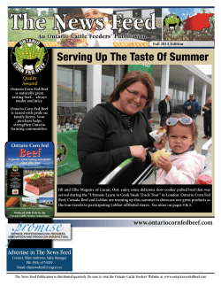 Serving Up The Taste Of Summer