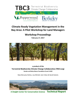 17-02-17 CR Veg Repts Workshop_report_FINAL