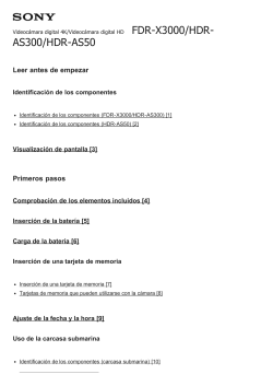 FDR- X3000/HDR-AS300