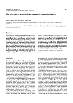 The micropyle: a sperm guidance system in teleost fertilization