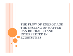 THE FLOW OF ENERGY AND THE CYCLING OF MATTER CAN BE
