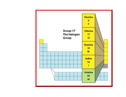 The elements of Group 17, the Halogens, are