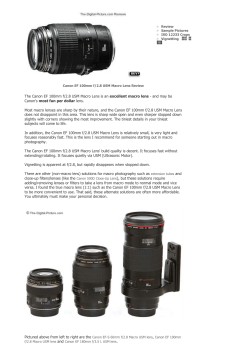 The Canon EF 100mm f/2.8 USM Macro Lens is an excellent macro
