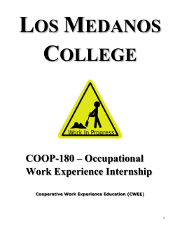 Occupational Work Experience Internship