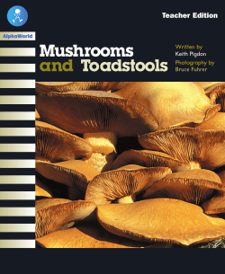 Mushrooms and Toadstools