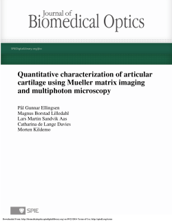 Quantitative characterization of articular cartilage