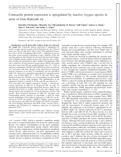 Contractile protein expression is upregulated by reactive oxygen