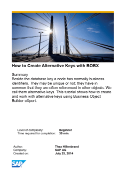 How to Create Alternative Keys with BOBX