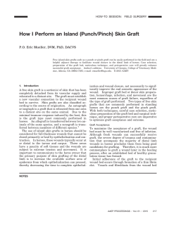 How I Perform an Island (Punch/Pinch) Skin Graft