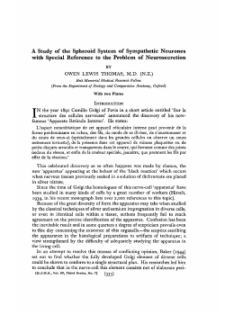 A Study of the Spheroid System of Sympathetic Neurones with