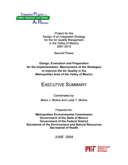 policy options for improved air quality in the mexico city metropolitan