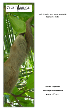 High altitude cloud forest: a suitable habitat for sloths Wouter