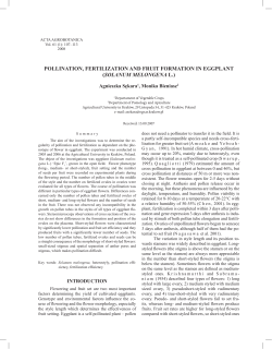 pollination, fertilization and fruit formation in eggplant