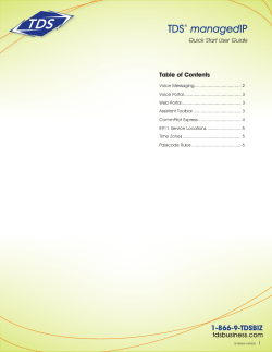 TDS&reg; managedIP - ManagedIP Support | TDS