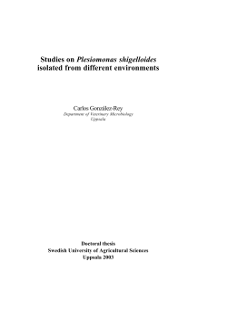 Studies on Plesiomonas shigelloides isolated from different