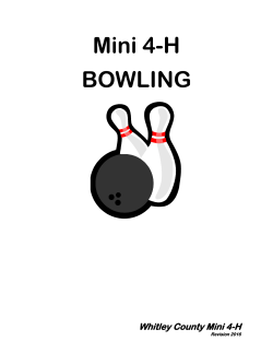 Mini 4-H Bowling Record Sheet