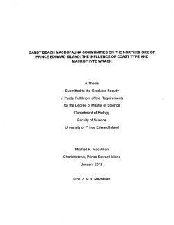 sandy beach macrofauna communities on the north shore of prince